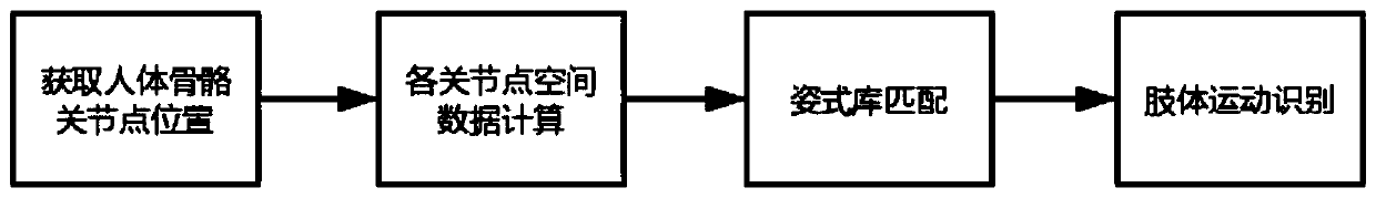 Human body action function detection system, detection method and detector