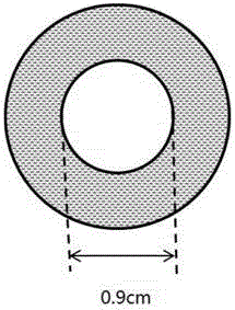 Electrochemical measuring device and measuring method for bottom corrosion of rust layer of spoondrift splashing region