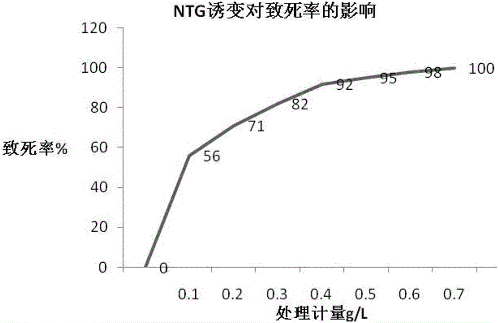 Xanthomonas sp. NYW79 and use thereof