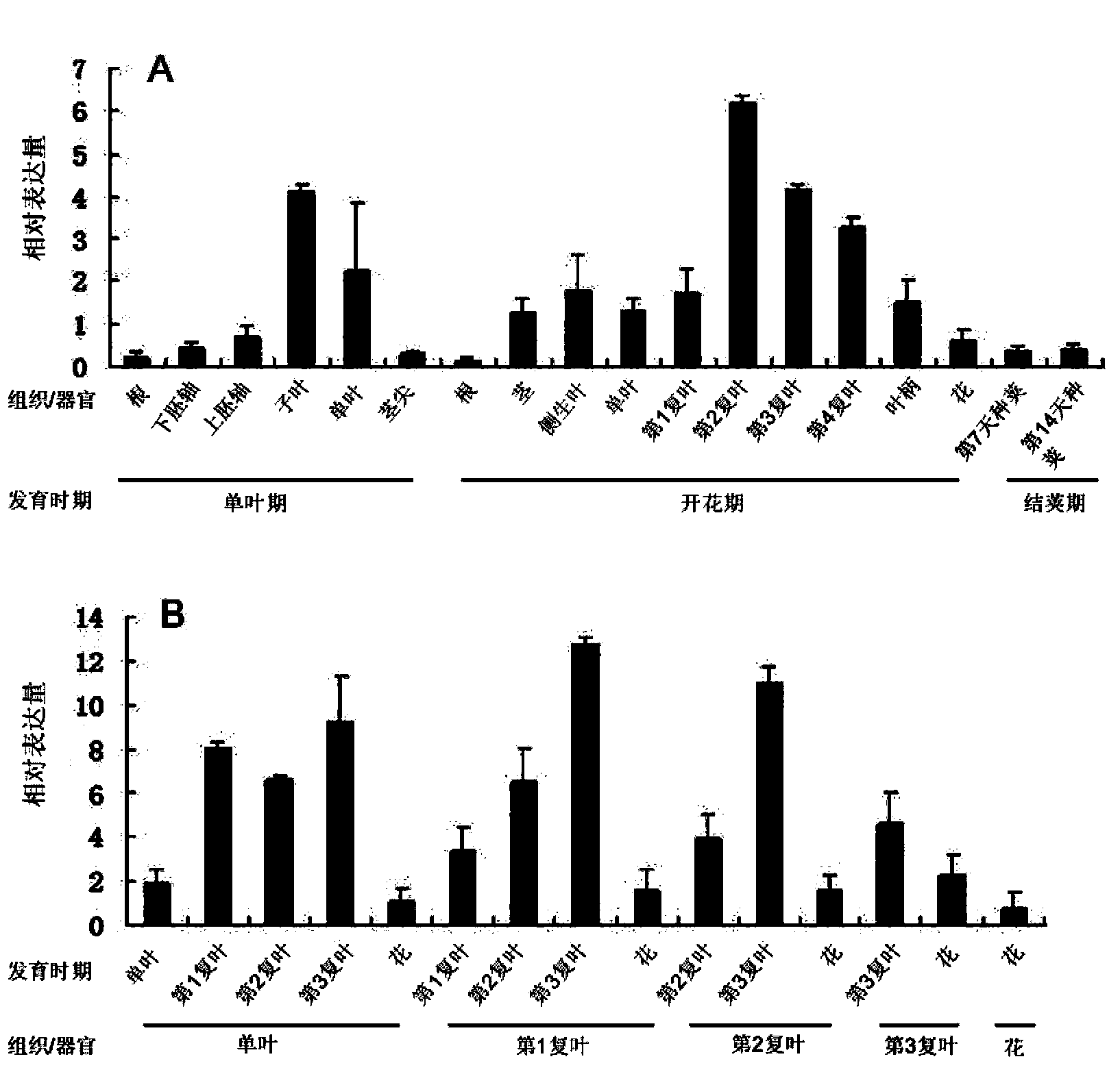 Soy biological clock gene GmLCL1, encoding protein and application thereof