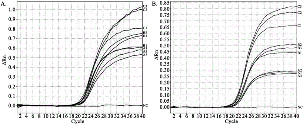 Dual-fluorescence quantitative PCR (Polymerase Chain Reaction) primer, kit and method for simultaneously detecting general type and type 2 Streptococcus suis