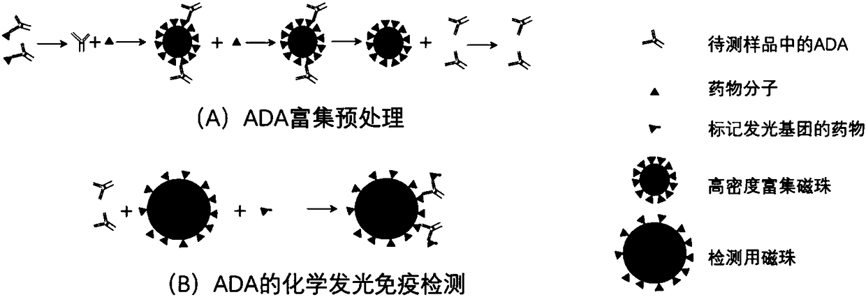 Detection method of anti-drug antibody and detection kit