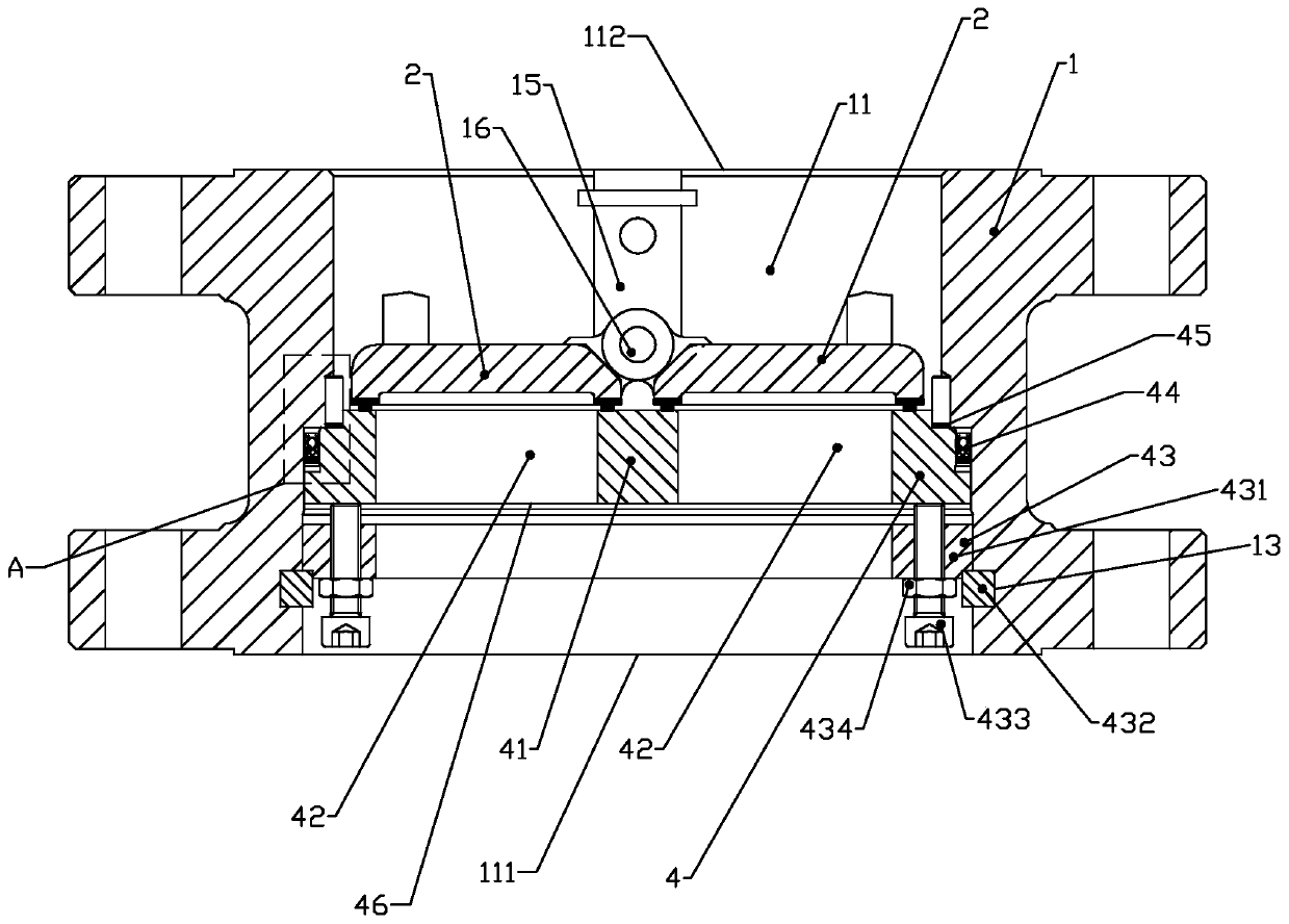 Double flap check valve