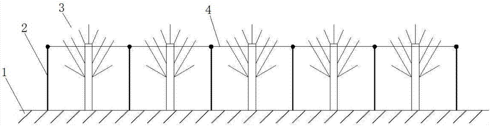 Control method for trapping and killing orchard pests by using sweet and sour liquid