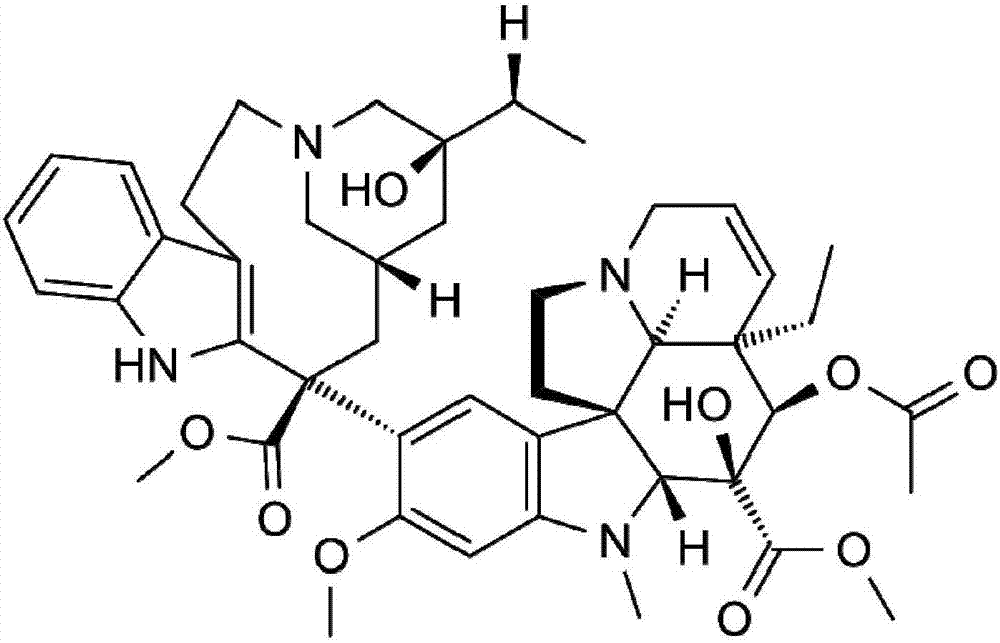 Functional vinblastine lipidosome and application thereof