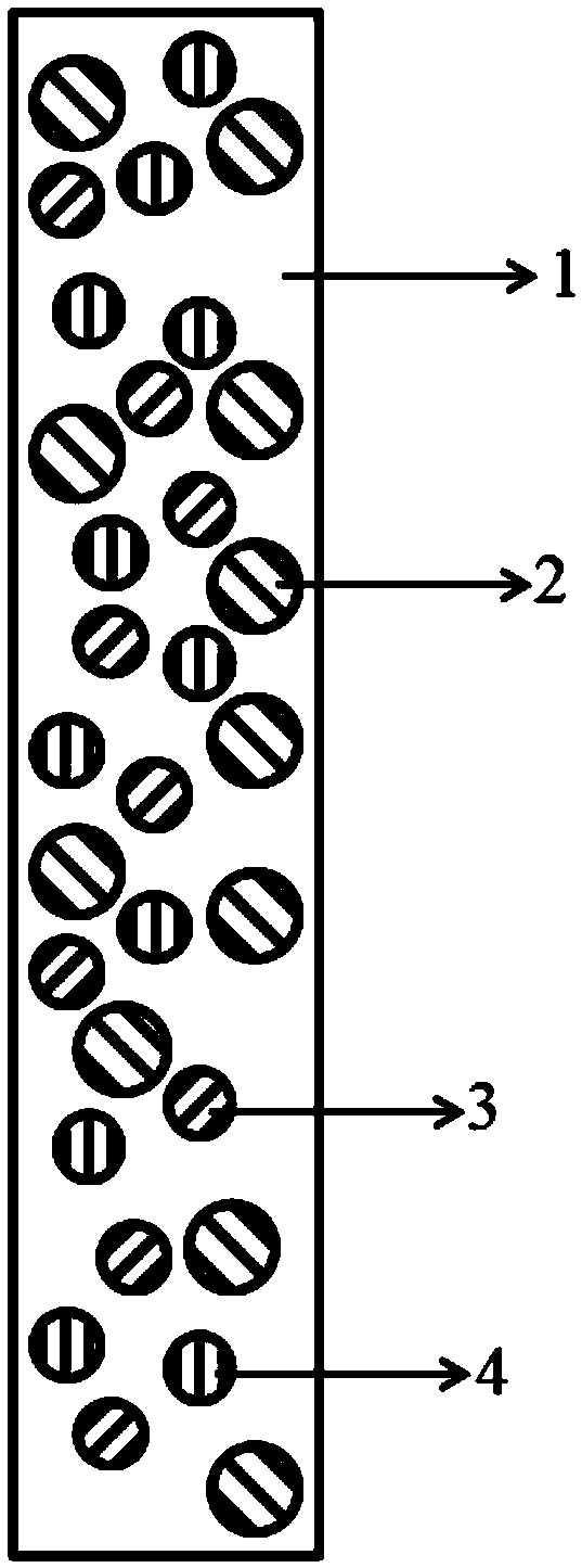 Self-healing transparent display film and preparation method and application thereof