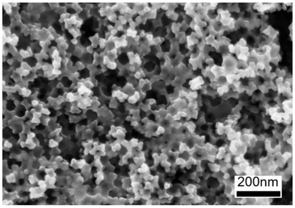 A kind of preparation method of transparent super-amphiphobic material