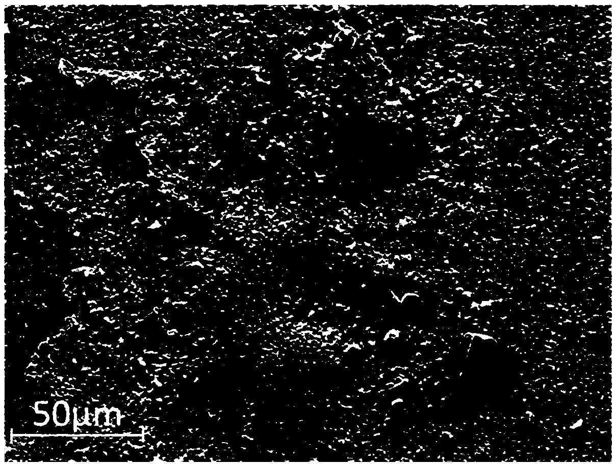 Preparation method of stainless steel aluminum coating