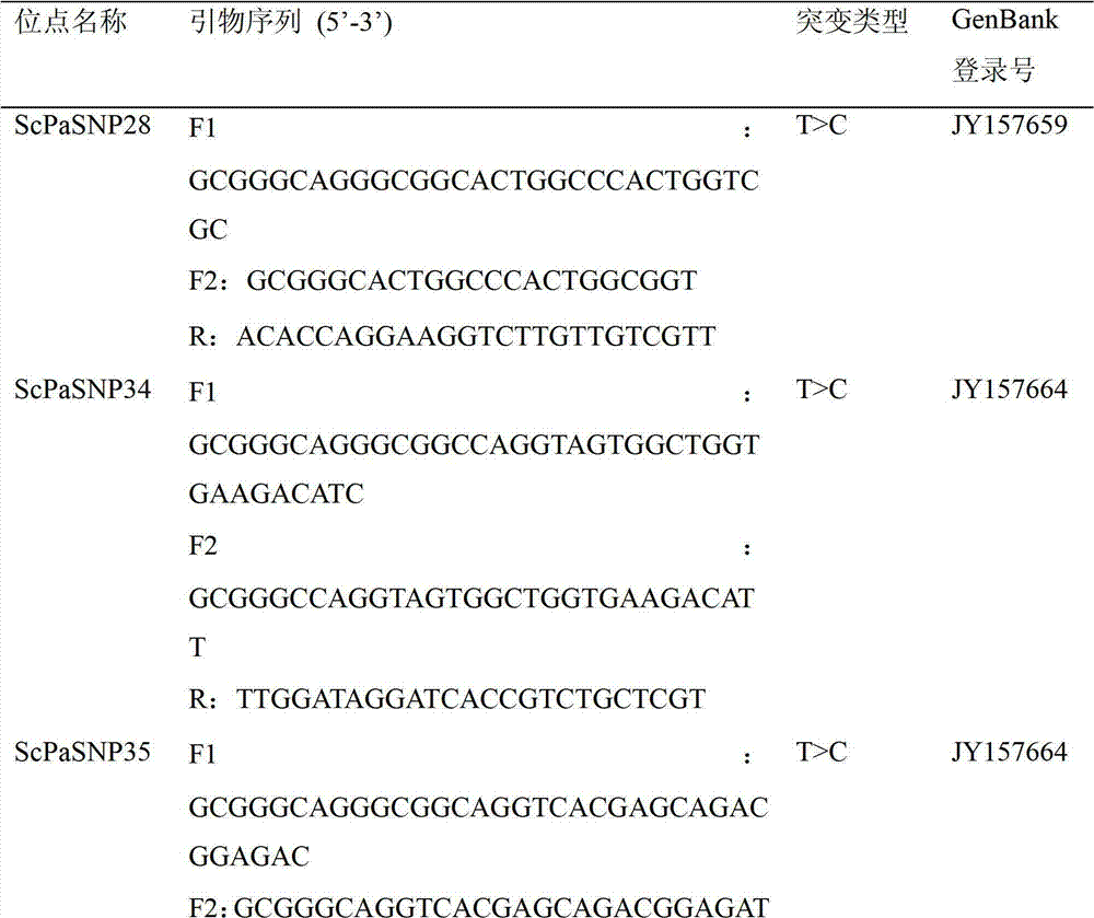 Screening method of scylla paramamosain SNPs molecular marker