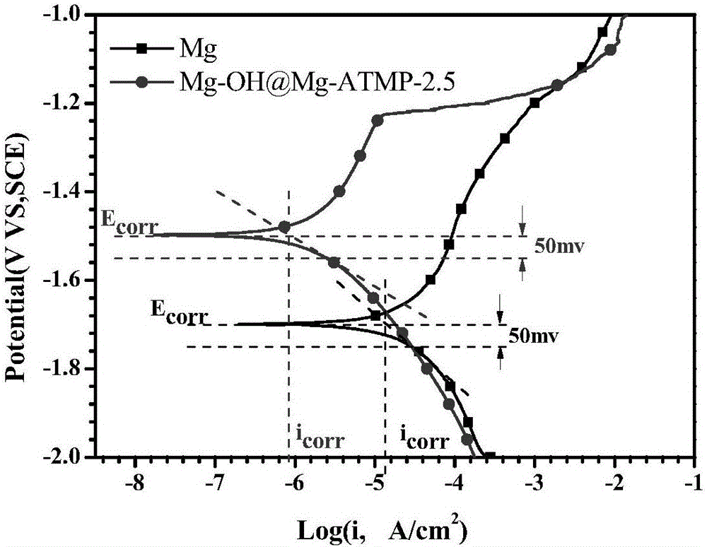 Preparation method of low-corrosion-rate bio-functionalized coating for pure magnesium surface