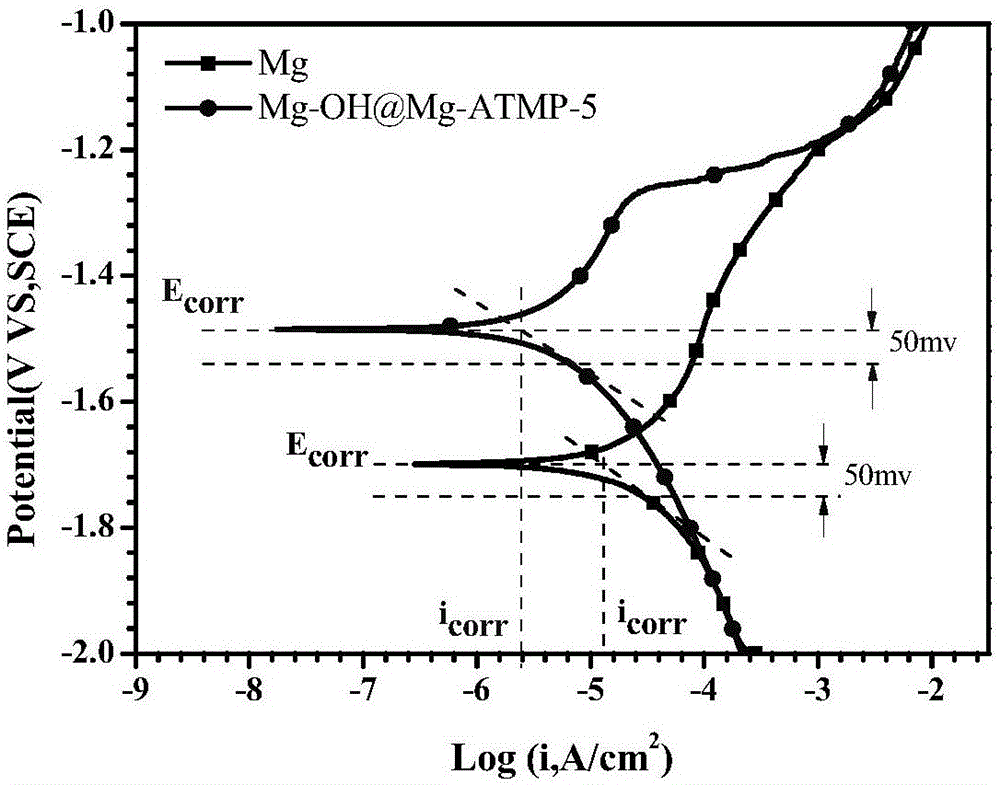 Preparation method of low-corrosion-rate bio-functionalized coating for pure magnesium surface