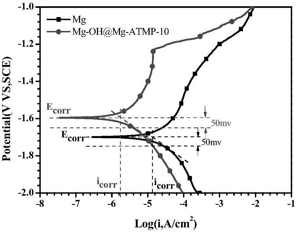 Preparation method of low-corrosion-rate bio-functionalized coating for pure magnesium surface