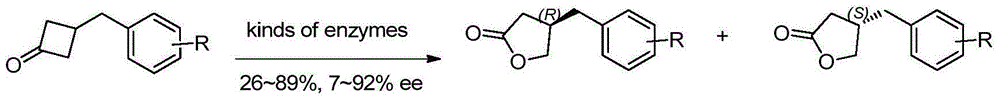 Method for efficiently synthesizing beta-benzyl butyrolactone having specific configuration