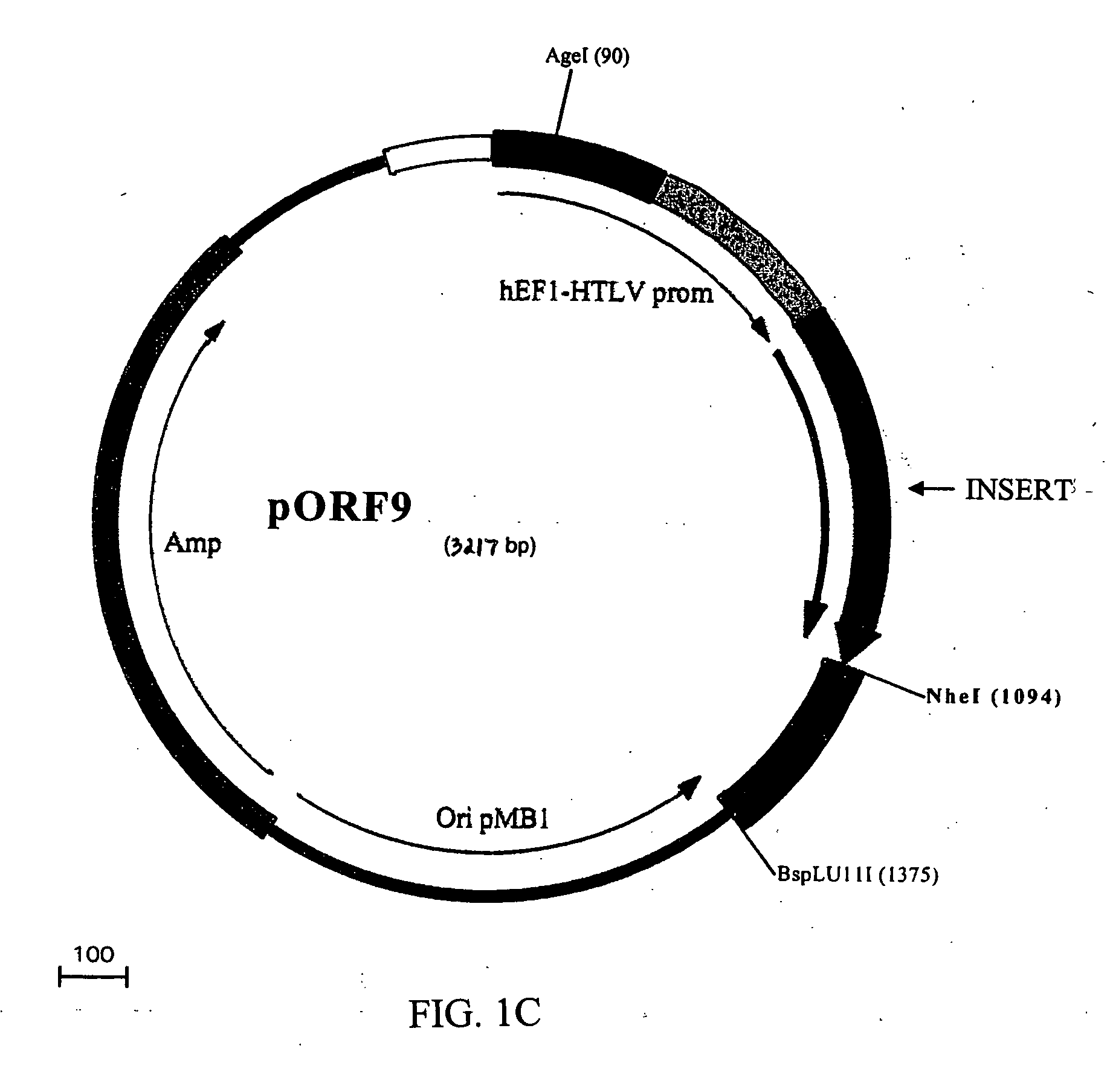 Compositions and methods for combined therapy of disease