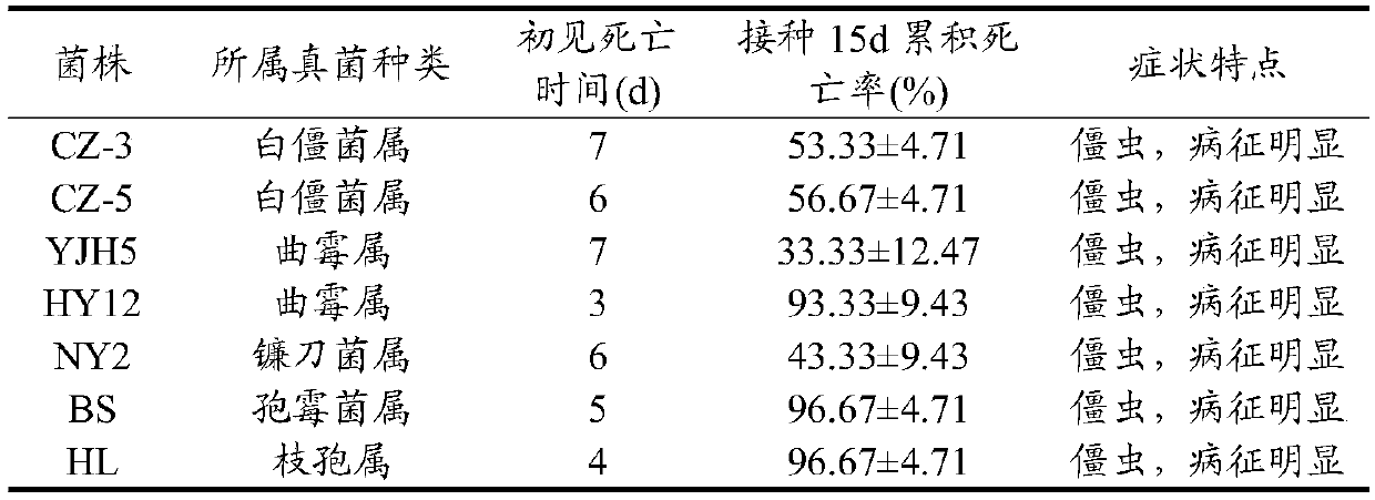 Application of aspergillus versicolor HY12 strain