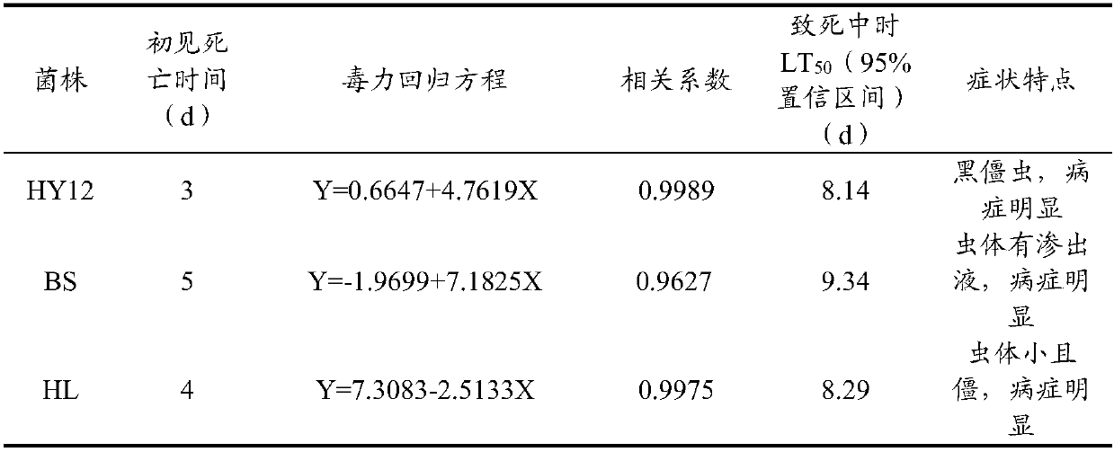 Application of aspergillus versicolor HY12 strain