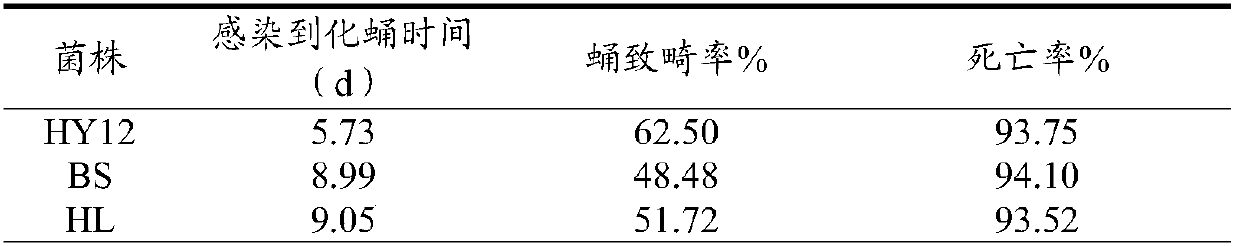 Application of aspergillus versicolor HY12 strain