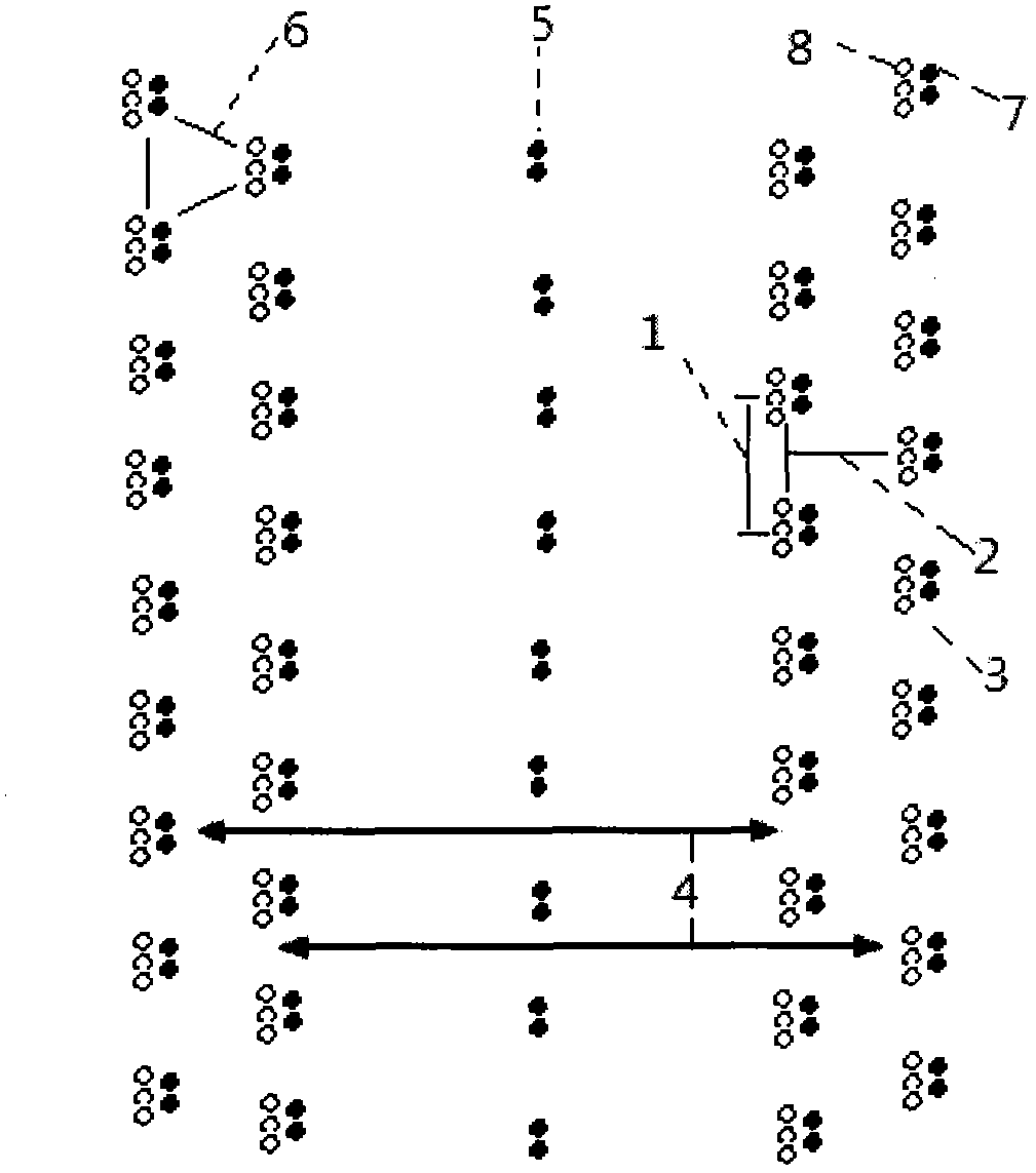 Tea tree and soybean intercropping pattern