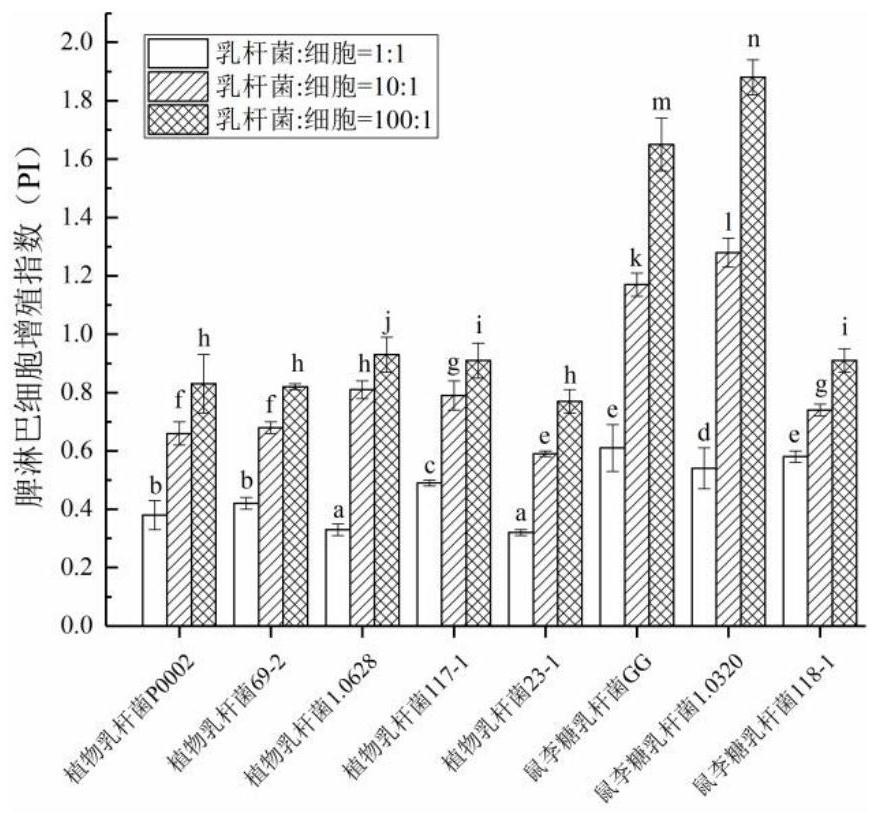 Lactobacillus rhamnosus with immunomodulatory effect and application of lactobacillus rhamnosus