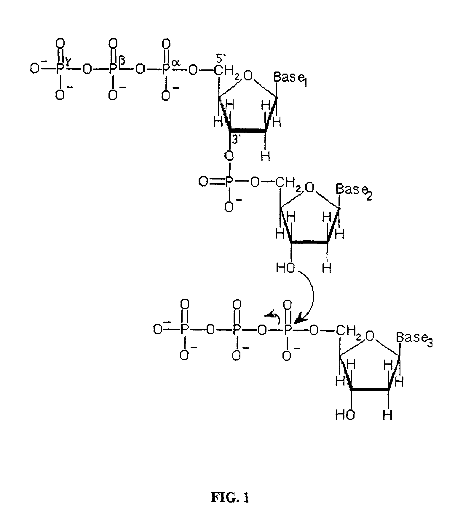 Methods and compositions for improving fidelity in a nucleic acid synthesis reaction