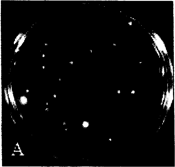 Nattokinase and its coding gene and clone and expressing method