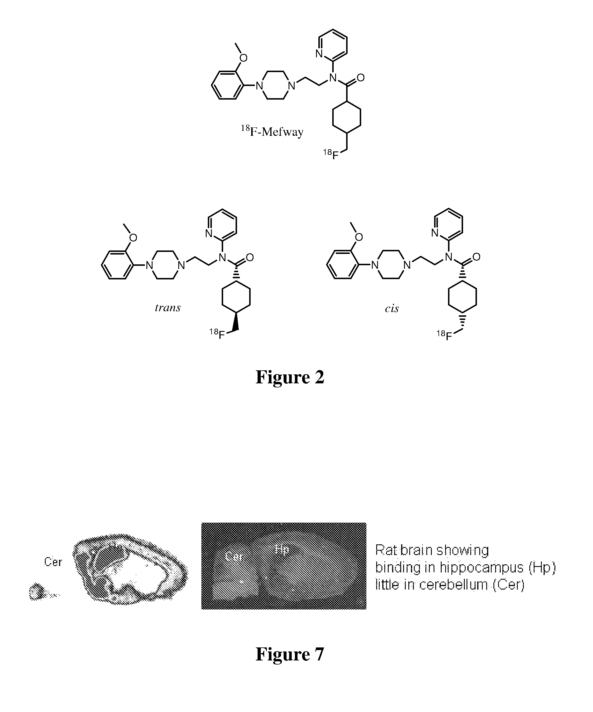 Compositions and methods related to serotonin 5-HT1A receptors