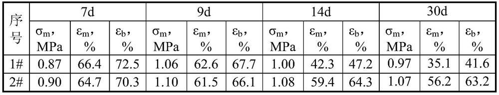 Method for Solving Post-curing Problem of Room Temperature Curing Butyl Hydroxyl Propellant and Prepared Product