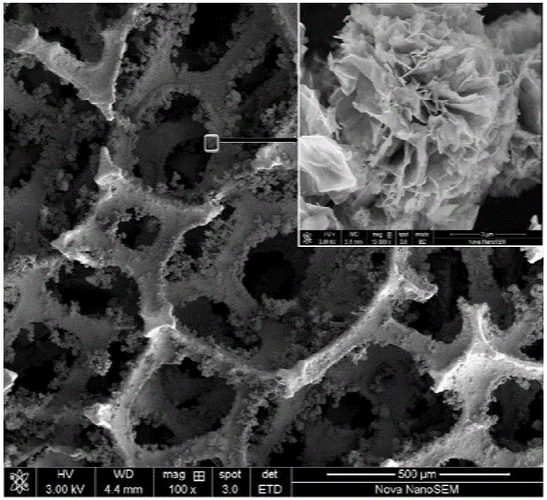 Foamed nickel composite material, and preparation method and application thereof