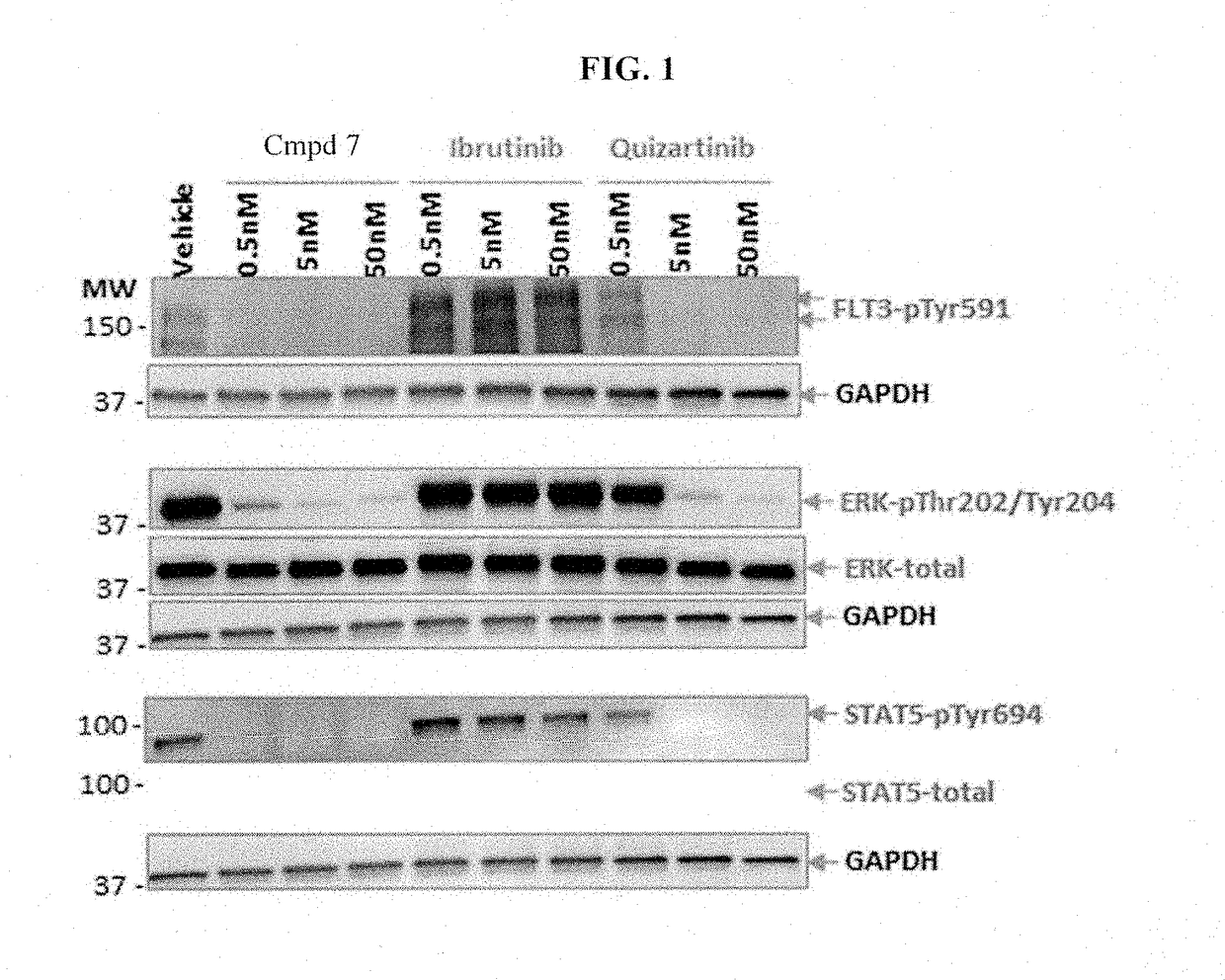 Methods for treating patients with hematologic malignancies