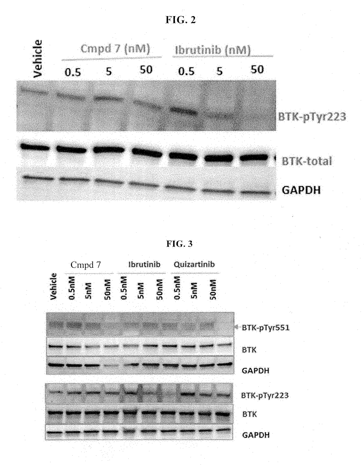 Methods for treating patients with hematologic malignancies