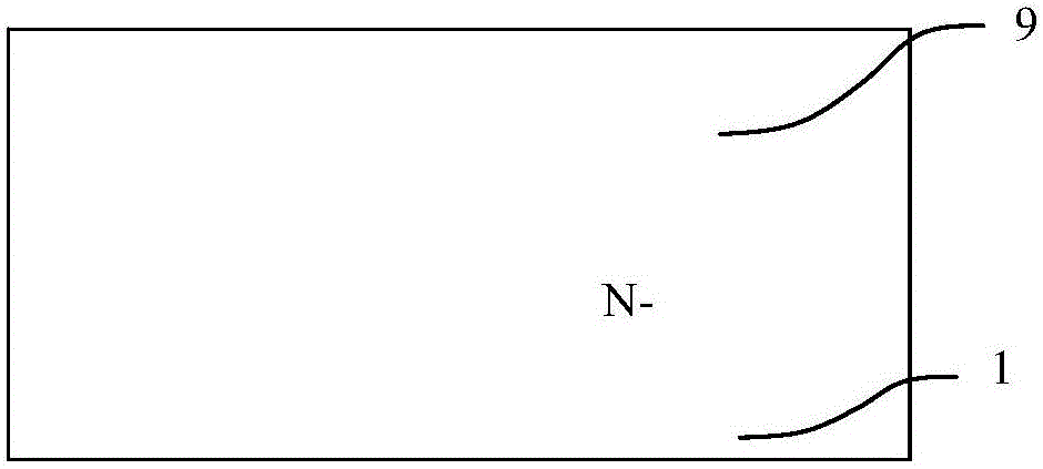 Manufacture method for twin pole device resisting low dosage rate irradiation