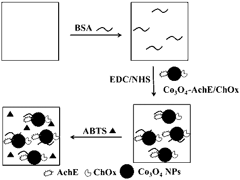 Preparation and application of pesticide rapid test card