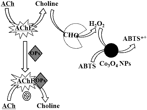 Preparation and application of pesticide rapid test card