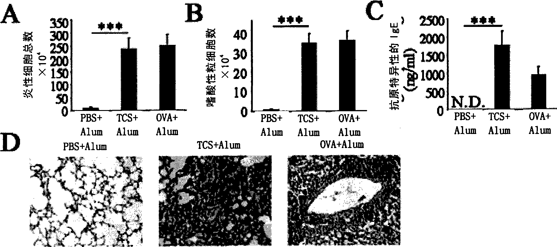 Trichosanthin protein induced mouse allelgic asthma disease model