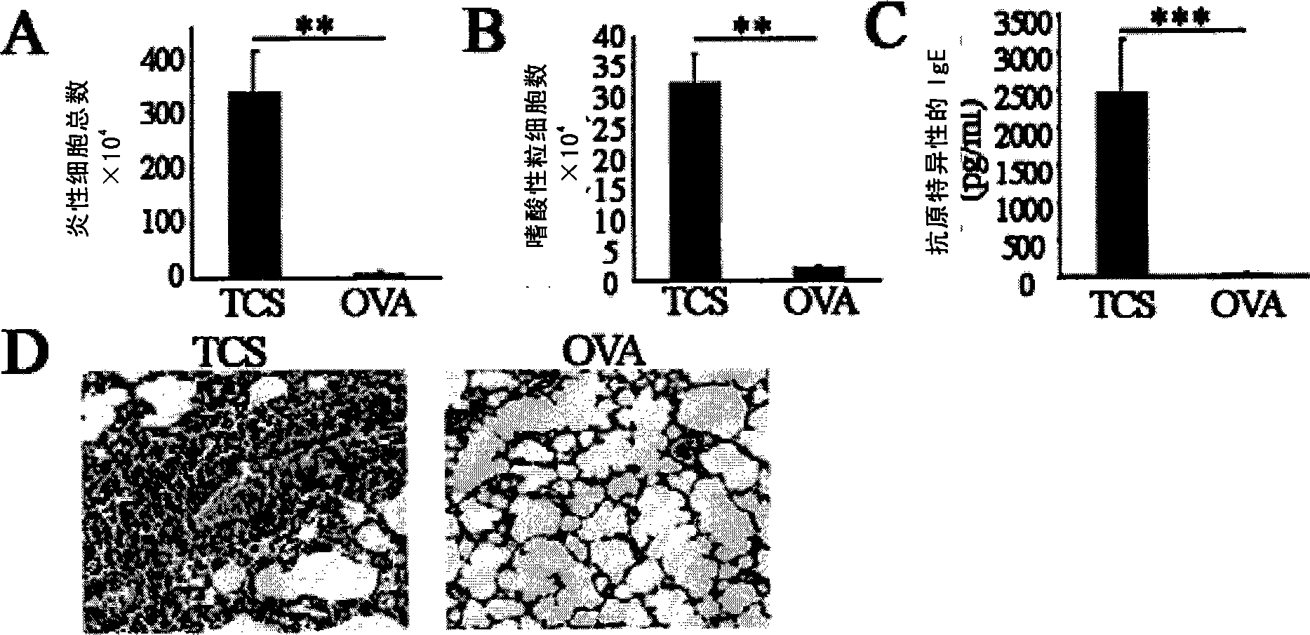 Trichosanthin protein induced mouse allelgic asthma disease model