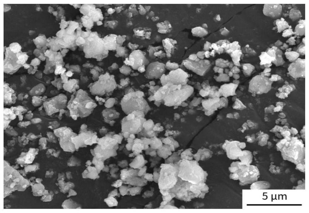 Porous polyether-ether-ketone-based coating material and preparation method thereof