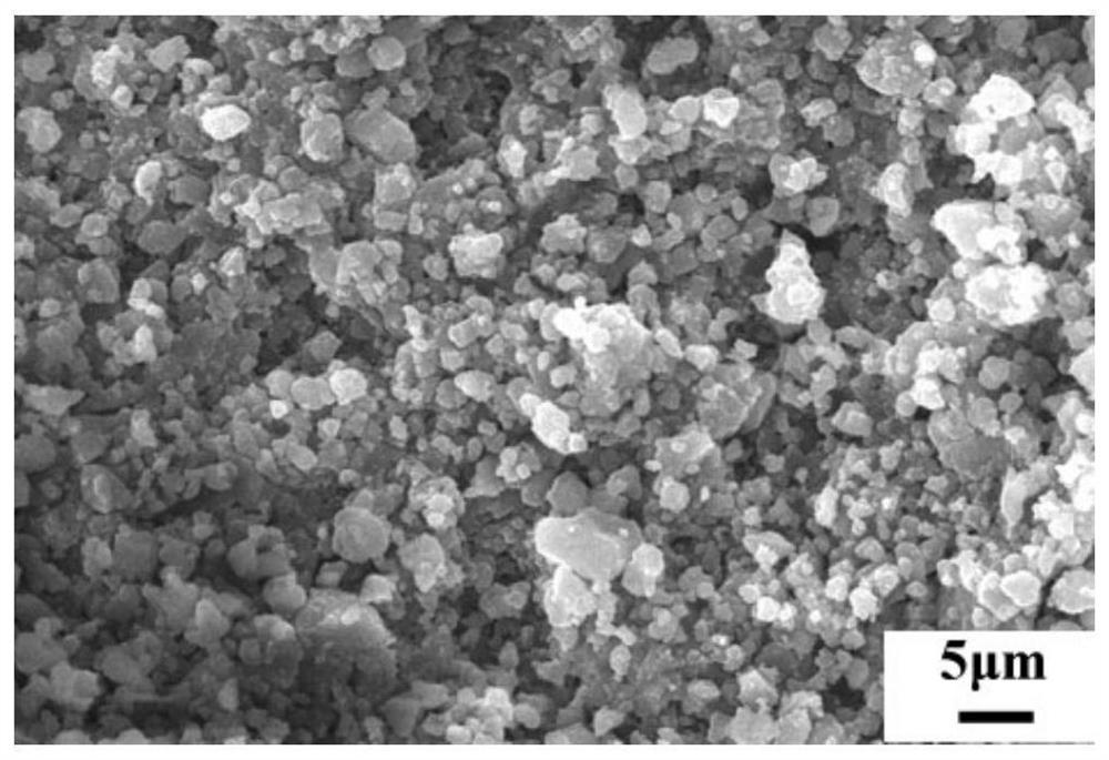 Porous polyether-ether-ketone-based coating material and preparation method thereof