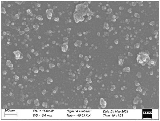 Preparation method of carbon dot coated cerium dioxide material and application of material in fluorine ion adsorption and detection