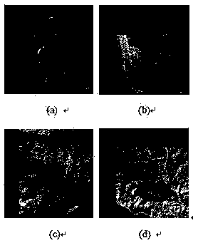 Matching curve feature based image registration evaluating method