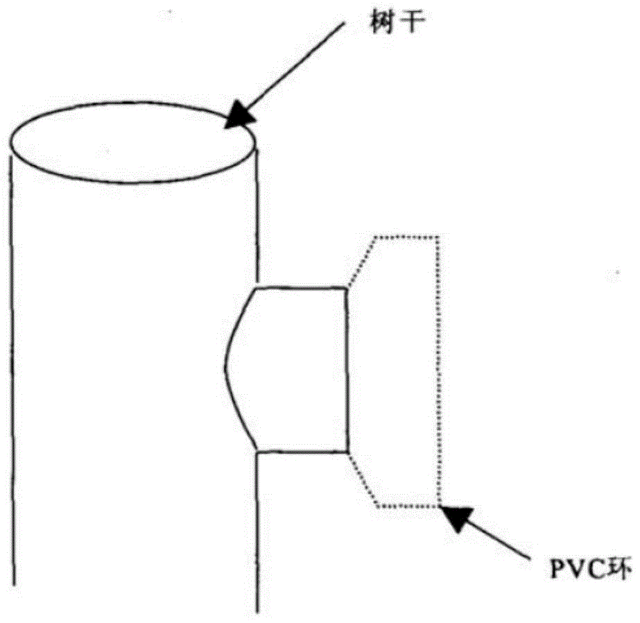 trunk co  <sub>2</sub> Flux measuring device and its measuring method