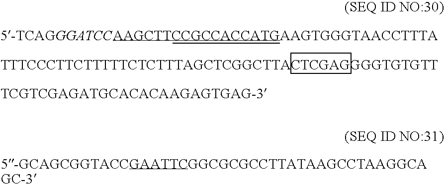 Albumin fusion proteins