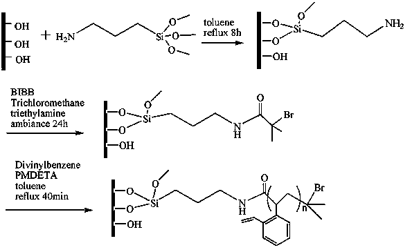 Adsorbing agent for removing petroleum type pollutants in environmental water sample and preparation method of adsorbing agent