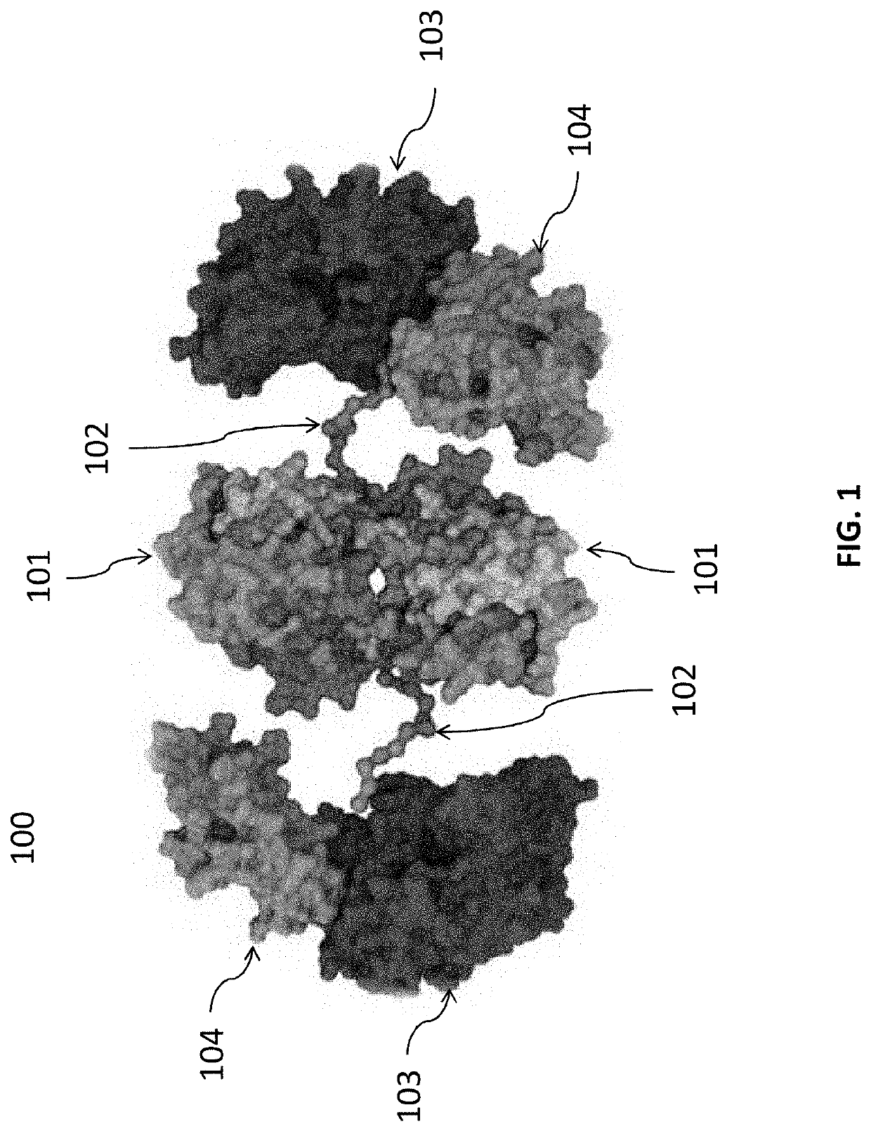 Compositions, formulations and interleukin production and purification