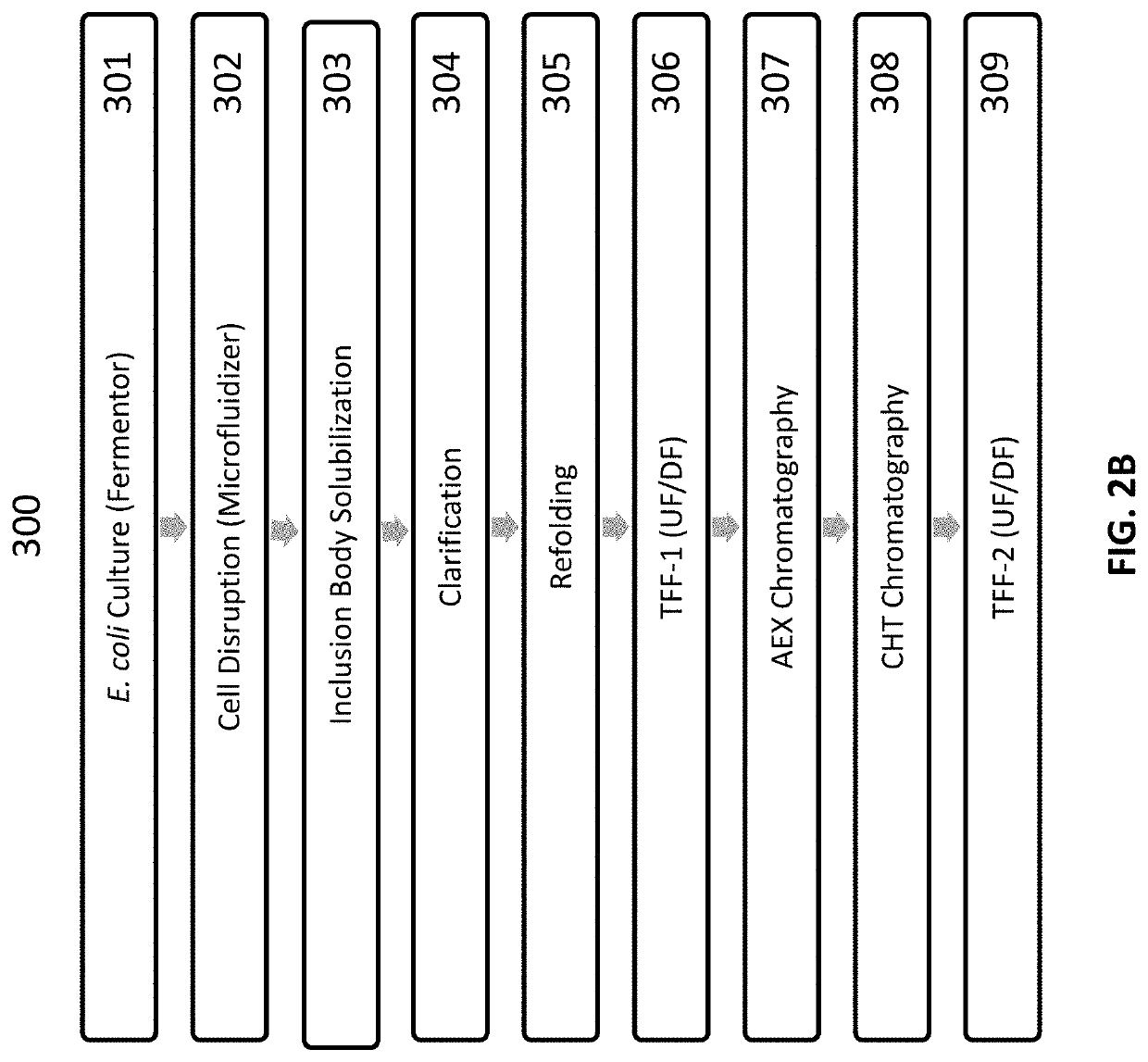 Compositions, formulations and interleukin production and purification