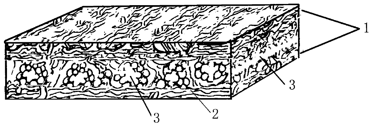 Decellularized eyelid board and preparation method thereof