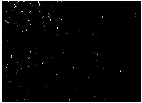 Synthetic method for cathode material nano lithium manganese phosphate for lithium ion batteries