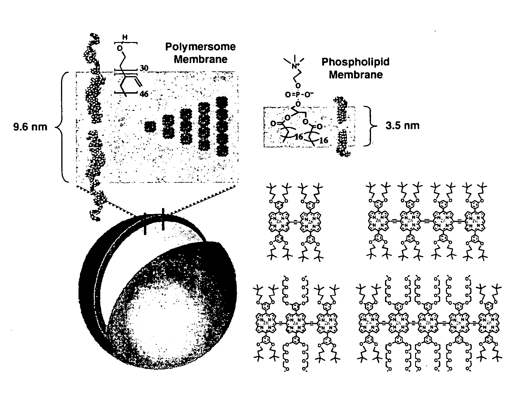 Polymersomes incorporating highly emissive probes