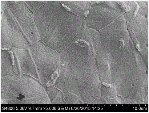 Method for preparing cobaltous selenide super-capacitor material through chemical vapor deposition method