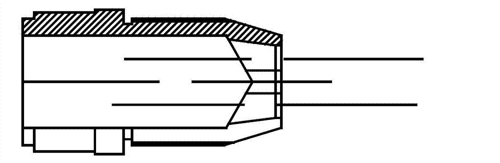 Biogas burner