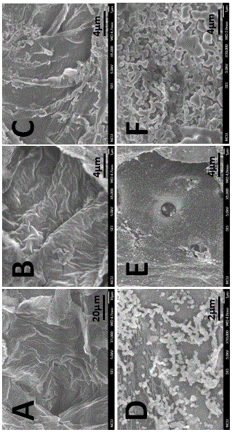 Preparation method of carbon aerogel for air filtration